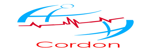13082-Cordon Telematics Pvt. Ltd.